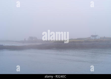 Two houses sit in the fog on Cape Forchu, Nova Scotia, Canada. Stock Photo