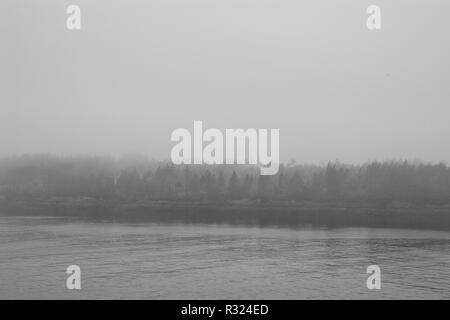 A forest in the fog on Cape Forchu, Nova Scotia, Canada. Stock Photo