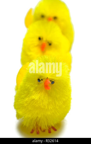 easter chicks Stock Photo
