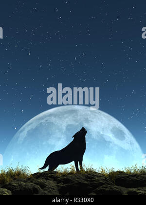 Howling Wolf Stock Photo Alamy