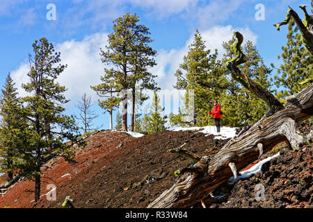 42,835.02086 Woman hiking top of steep red & black cinder cone, Ponderosa pine trees (Pinus ponderosa), dead log slight snow, blue sky white clouds Stock Photo