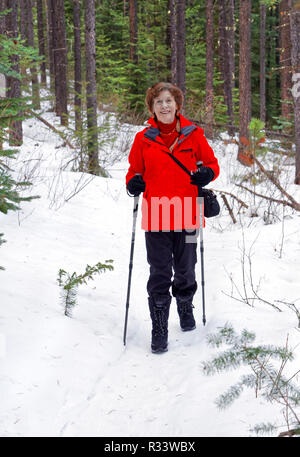 42,760.00694 woman hiker hiking and having fun enjoying the beautiful scenery in a snowy winter conifer forest, Jasper National Park, vertical Stock Photo