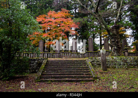 Beautiful orange fall color in front of stone markers at the Tobiishi Hachiman Shrine in Nikko, Japan. Stock Photo