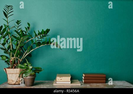 plants in flowerpots  and books on green background Stock Photo