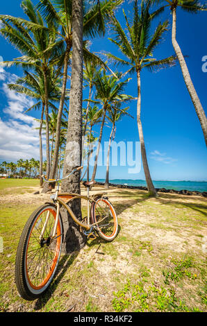 A bike leaning against a palm tree on a tropical beach Stock Photo