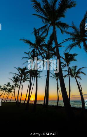 Vivid colors of sunrise & palm tree silhouettes along the beach in Kapaa, Kauai, Hawaii, USA Stock Photo