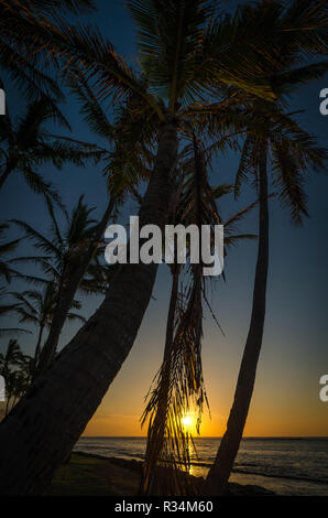 Sunset seen from behind palm trees along the beach in Kapaa, Kauai, Hawaii, USA Stock Photo