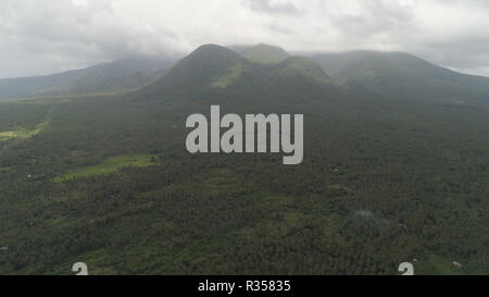 Aerial view of grove of palm trees. Aerial view of mountains covered forest, trees in cloudy weather. Luzon, Philippines. Slopes of mountains with evergreen vegetation. Mountainous tropical landscape. Stock Photo