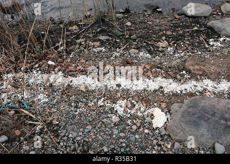 white styrofoam balls on lakeshore, Finland Stock Photo