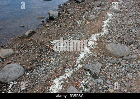 white styrofoam balls on lakeshore, Finland Stock Photo