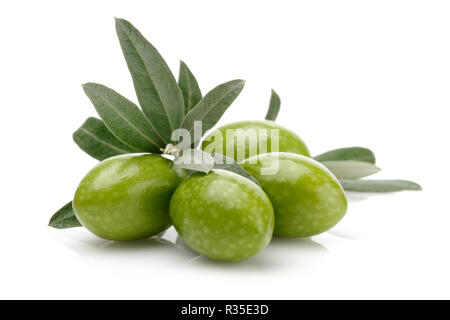 Green olive branch isolated on white background Stock Photo