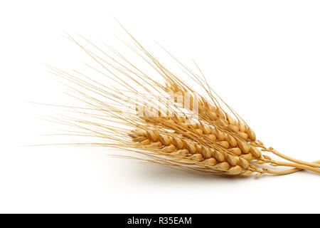 Ears of wheat isolated on white background Stock Photo