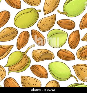 almond nuts vector pattern on white background Stock Vector