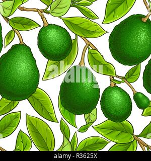 avocado vector pattern on white background Stock Vector