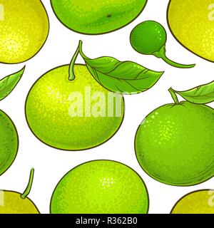 green mandarin fruit vector pattern white background Stock Vector