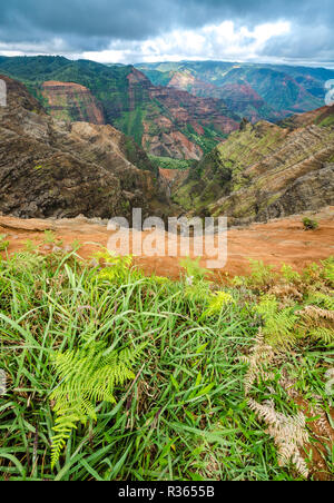 A view into Waimea Canyon on the island of Kauai, Hawaii Stock Photo