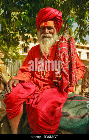 RAJASTHAN INDIA MAN IN TRADITIONAL RED CLOTHES SITTING ON A TREE TRUNK IN JAIPUR Stock Photo