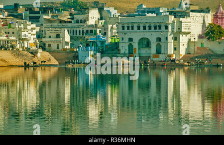 RAJASTHAN INDIA PUSHKAR BUILDINGS AND GHATS AROUND THE SACRED LAKE COWS AND FLOCK OF PIGEONS ON THE STEPS Stock Photo