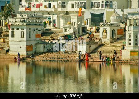 RAJASTHAN INDIA PUSHKAR THE LAKE AND COWS ON THE STEPS OF THE GHATS Stock Photo