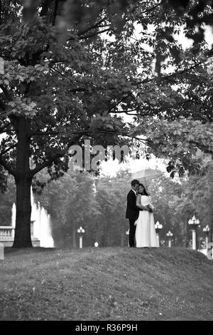 The bride and groom, hugging stand near the tree under a white umbrella,black-white Stock Photo