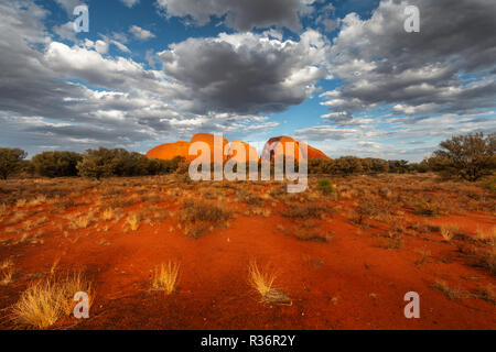 Amazing domes of Kata Tjuta in the last light of the day. Stock Photo