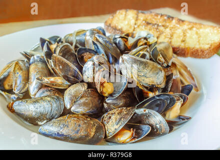 white dish full of steaming hot cooked mussels with open shells in a tasty sauce and served with toasted garlic sourdough on a wooden table Stock Photo
