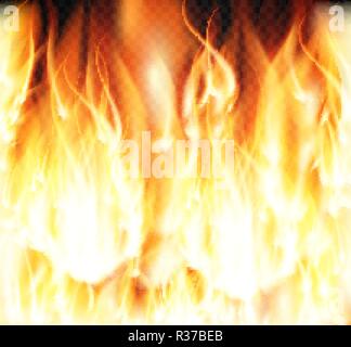 Burning Fire Special Light Effect Flames on Transparent Background. Vector Illustration Stock Vector