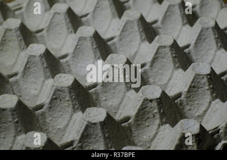 Close up empty egg tray. Paper pack for eggs, food container concept. Stock Photo