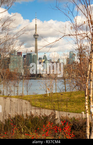 Toronto, CANADA - November 20, 2018: Landscape view of the city of Toronto with legendary CV Tower Stock Photo