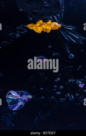 autumn leaf on frozen pond with ice bubble spectrum in air bubble Stock Photo