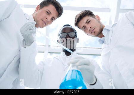 group of scientists examines the liquid in the flask. Stock Photo