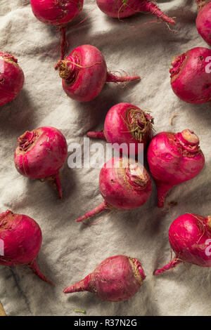 Pink and Red Beet Roots Ready to Cook Stock Photo