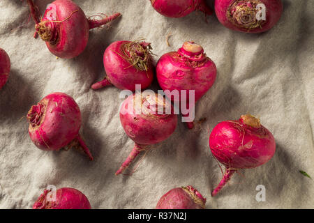 Pink and Red Beet Roots Ready to Cook Stock Photo