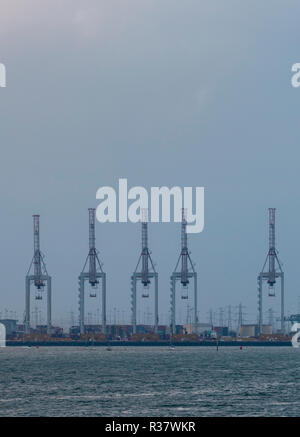 large tall cranes at dp world southampton docks on southampton water uk ...