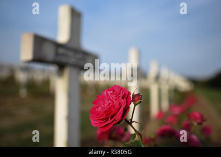 October 20, 2018 - Douaumont, France: Roses at the war cemetery monument of Douaumont, which hosts the remains of 130 000 soldiers, both French and German, who took part in the First World War. There are 15 000 crosses outside the monument with the names of French soldiers who died in the vicinity. *** FRANCE OUT / NO SALES TO FRENCH MEDIA *** Stock Photo