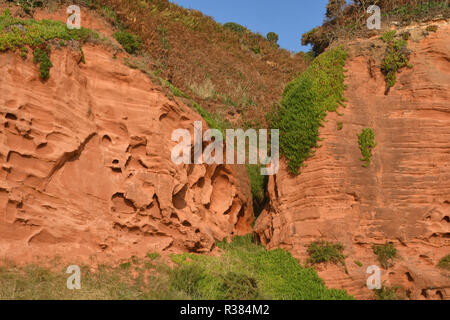 Wind and rain eroded rock, Devon New Red sandstone cliffs, nr Dawlish Devon Stock Photo