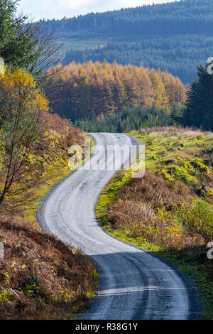 Views along the Raiders Road in the Galloway Forest Park during the autumn season. Stock Photo