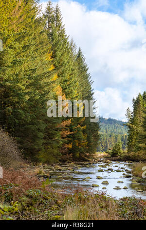 Views along the Raiders Road in the Galloway Forest Park during the autumn season. Stock Photo