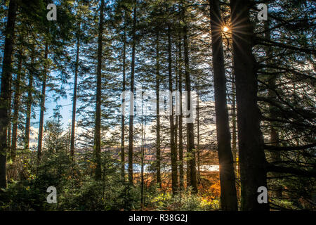 Views along the Raiders Road in the Galloway Forest Park during the autumn season. Stock Photo