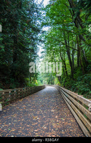 long wooden fence and bridge in the forest along a bike trail Stock Photo