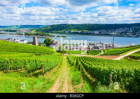 Vineyards, Rudesheim am Rhein and Bingen am Rhein town aerial panoramic view in the Rhine Valley, Germany Stock Photo