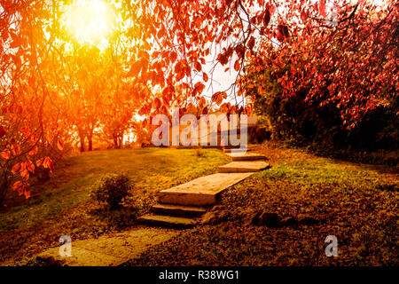 Concrete road (path, pathway, walkway) in the sunset in the garden of TBMM Stock Photo