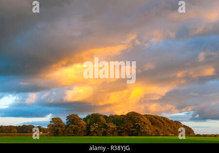 Evening sunlight reflecting off storm clouds over open farmland Stock Photo