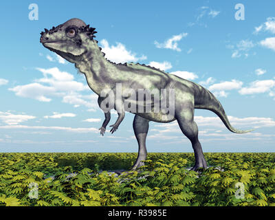 dinosaur pachycephalosaurus Stock Photo
