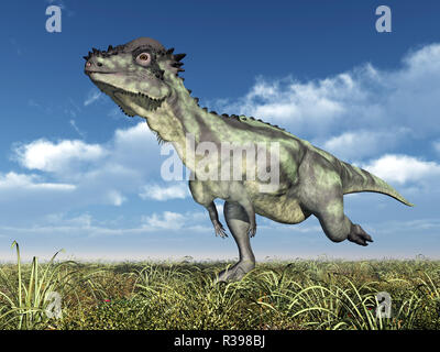 dinosaur pachycephalosaurus Stock Photo