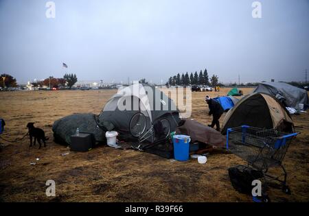 Butte, USA. 21st Nov, 2018. Residents live in tents at a parking lot in Chico of Butte County, California, the United States, Nov. 21, 2018. Local officials warned that the rain after the wildfire could cause risk of flash floods and mudflows. Credit: Wu Xiaoling/Xinhua/Alamy Live News Stock Photo