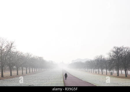 Windsor, UK. 22nd November, 2018. A heavy frost alongside the Long Walk in Windsor Great Park. After the coldest night since February, there was widespread frost and freezing fog in Berkshire this morning but temperatures are expected to rise for a few days from tomorrow to more normal temperatures for November. Credit: Mark Kerrison/Alamy Live News Stock Photo