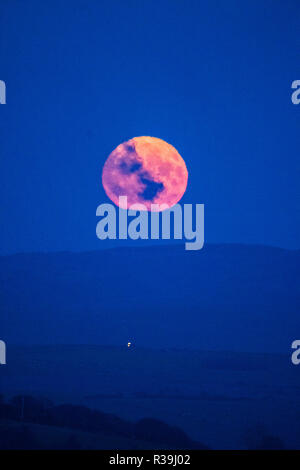 Aberystwyth, Wales, UK. November 22 2018. The full moon, known this month as the Beaver Moon, rises over the hills outside Aberystwyth , mid Wales, on a freezing cold November night  photo credit: Keith Morris / Alamy Live News Stock Photo