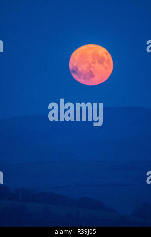 Aberystwyth, Wales, UK. November 22 2018. The full moon, known this month as the Beaver Moon, rises over the hills outside Aberystwyth , mid Wales, on a freezing cold November night  photo credit: Keith Morris / Alamy Live News Stock Photo