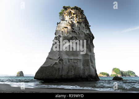Rock in the ocean, Coromandel Peninsula, New Zealand Stock Photo